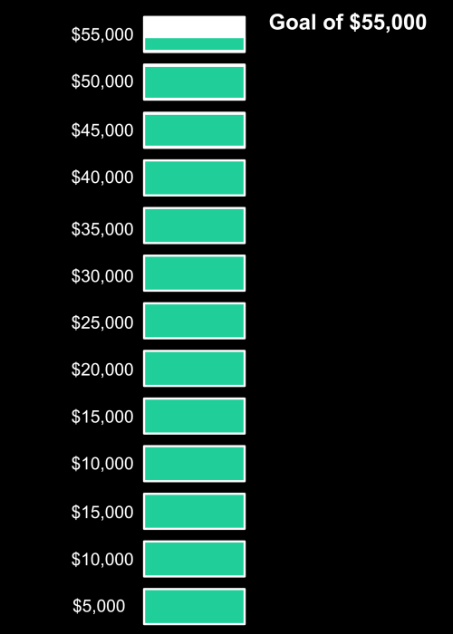 goal chart 2