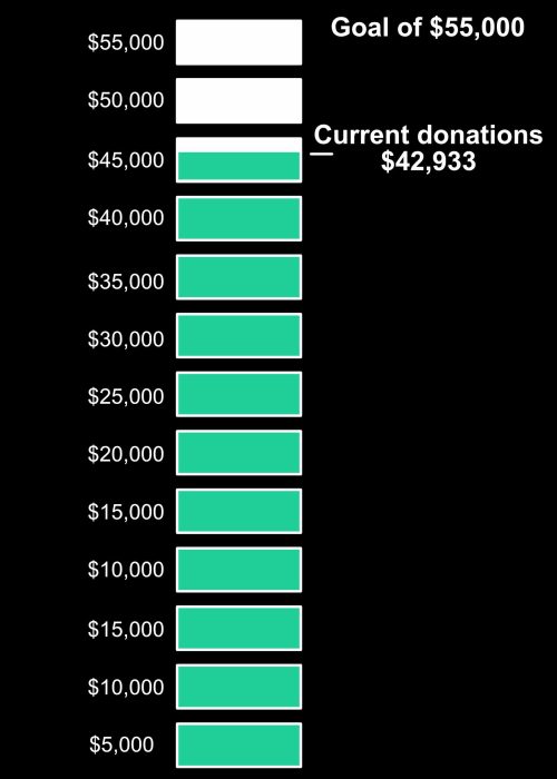 goal chart